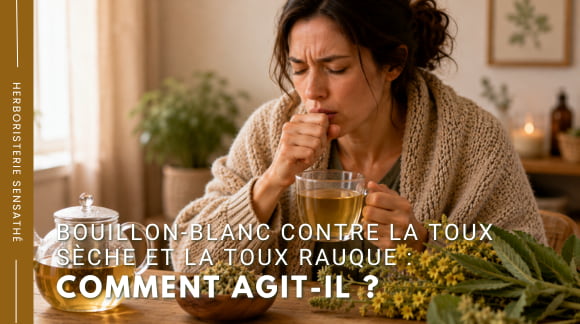 Bouillon-blanc contre la toux sèche et la toux rauque  comment agit-il - Herboristerie Sensathé
